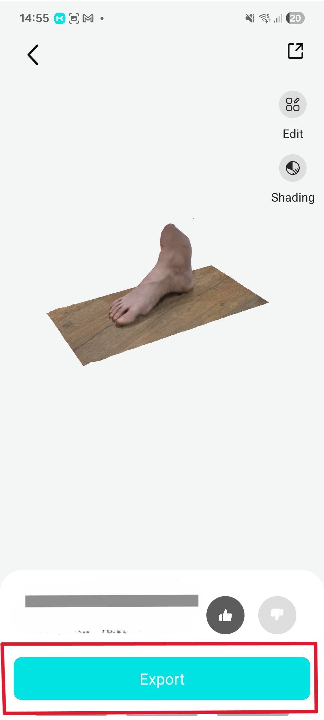 Completed 3D foot model with Export button